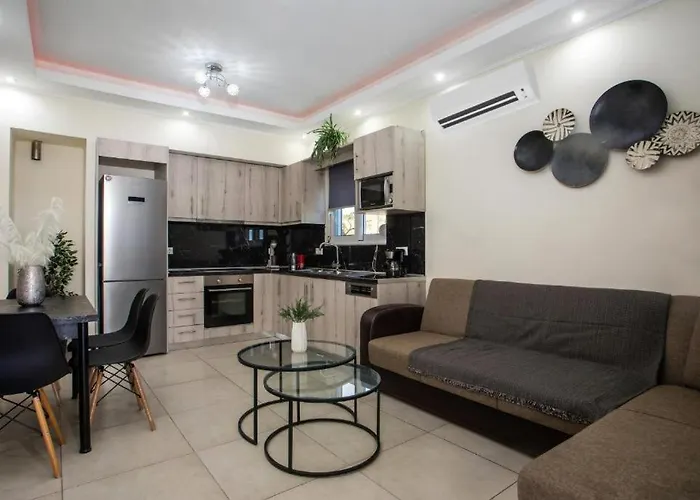 Sunny * 팔리라키